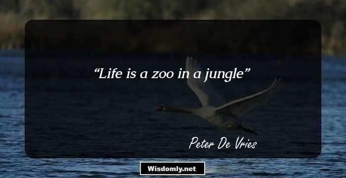 Life is a zoo in a jungle
