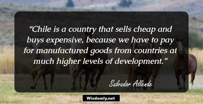 Chile is a country that sells cheap and buys expensive, because we have to pay for manufactured goods from countries at much higher levels of development.
