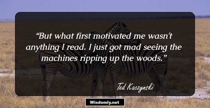 But what first motivated me wasn't anything I read. I just got mad seeing the machines ripping up the woods.